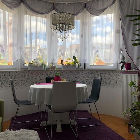 Apartman Lavanda Krapina Kültér fotó